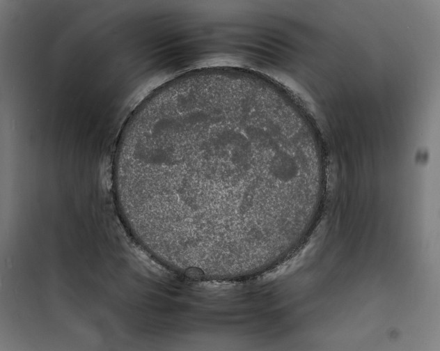 X0000100310929200807031143