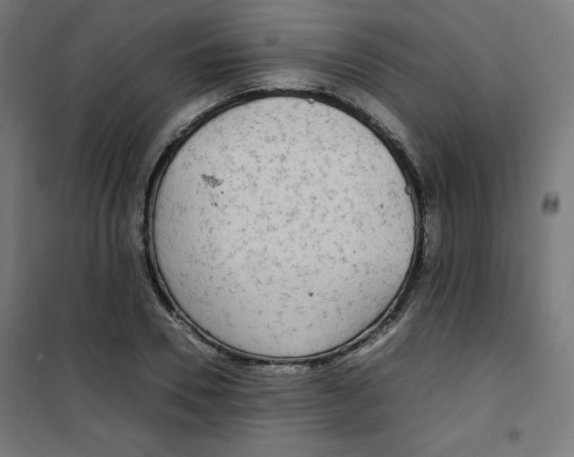 X0000100310930200807031143