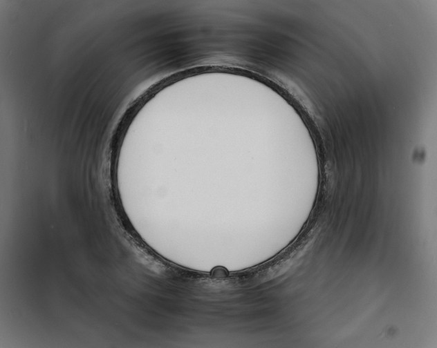 X0000100310931200807031143