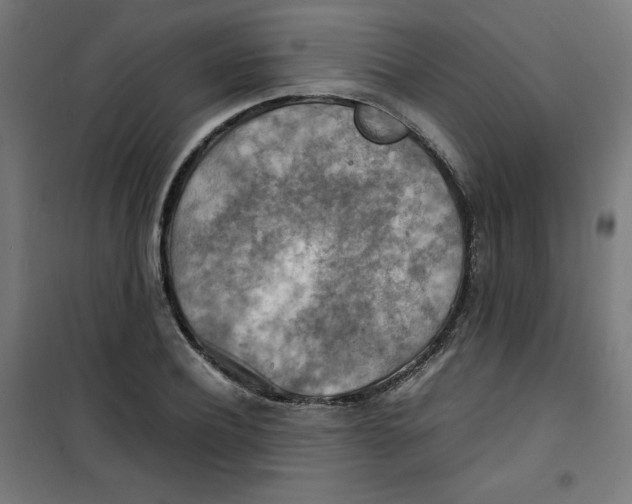 X0000100310932200807031143