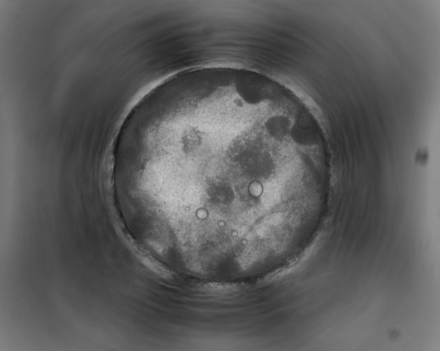 X0000100310933200807031143