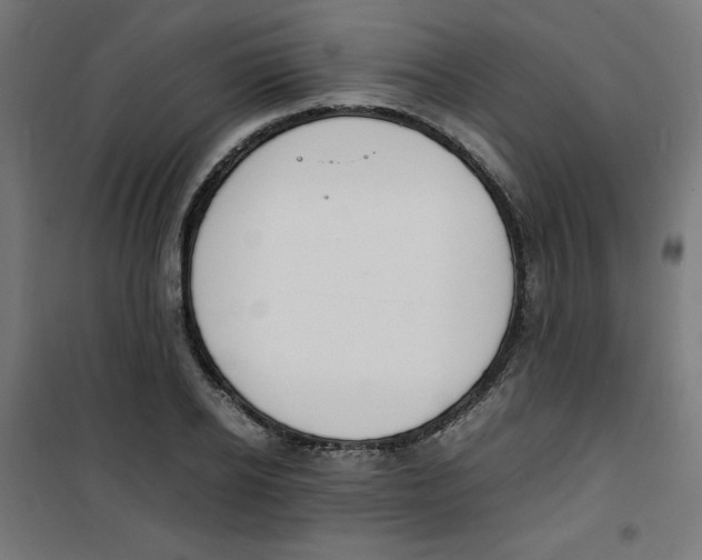 X0000100310934200807031143