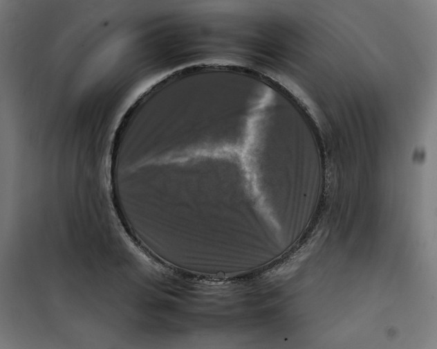 X0000100310935200807031143