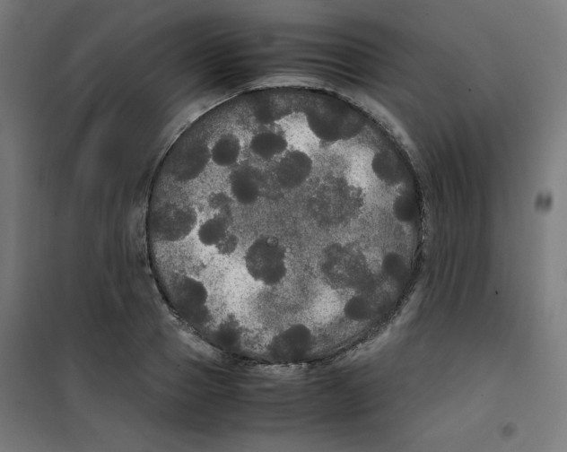 X0000100310937200807031143