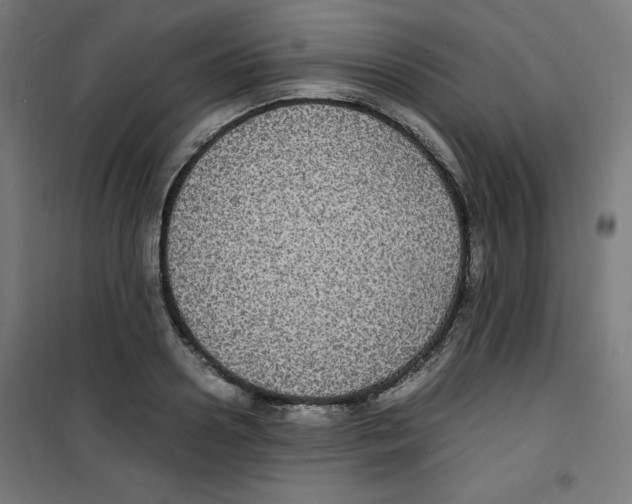 X0000100310938200807031143