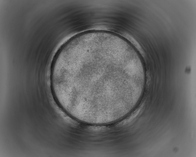 X0000100310939200807031143