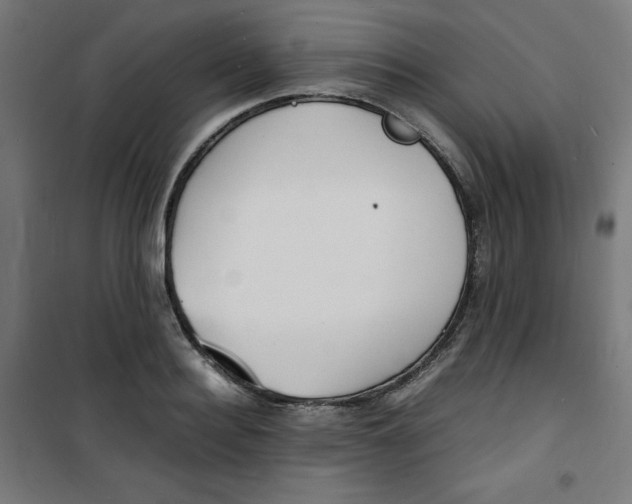 X0000100310940200807031143