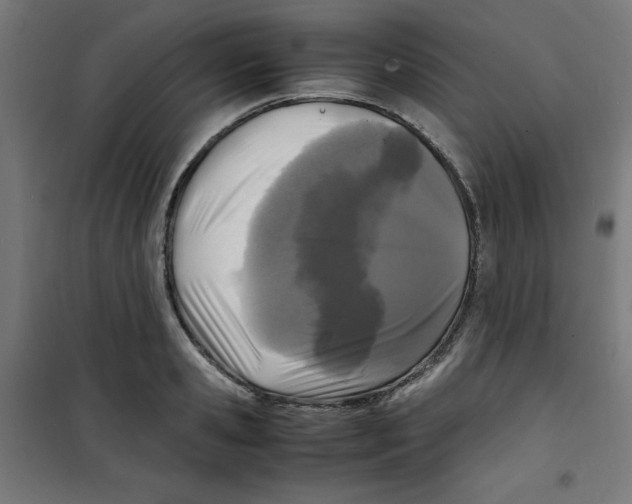 X0000100310941200807031143