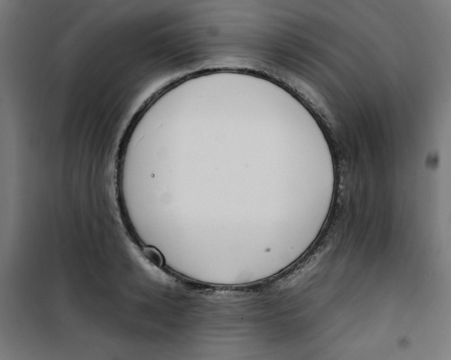 X0000100310942200807031143