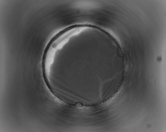 X0000100310943200807031143
