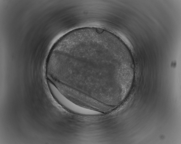 X0000100310944200807031143