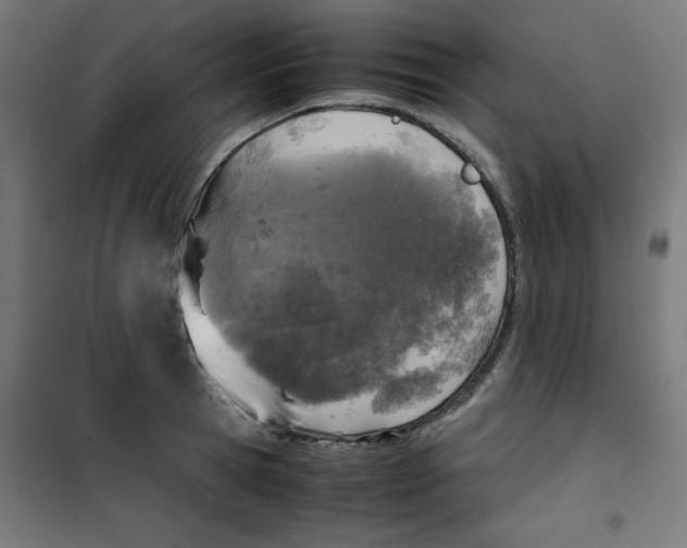 X0000100310945200807031143