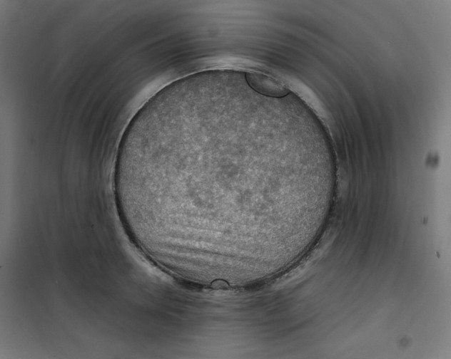 X0000100310946200807031143