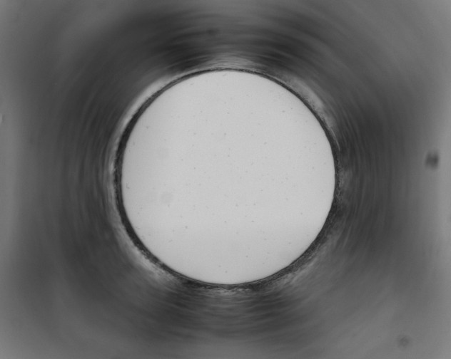 X0000100310947200807031143