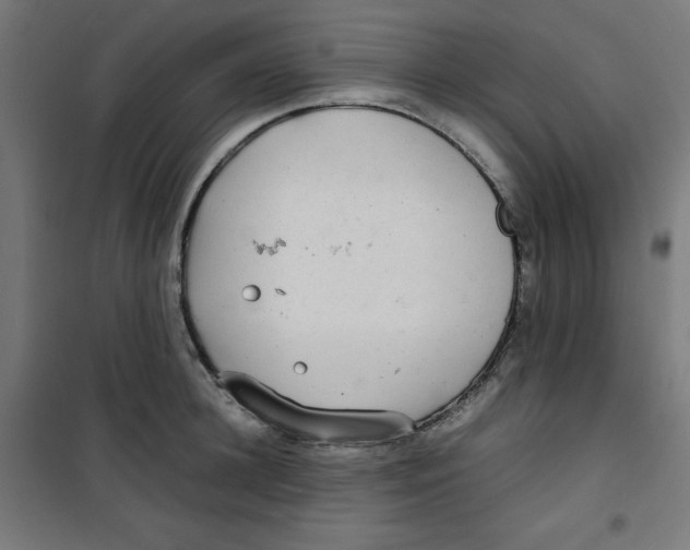 X0000100310948200807031143