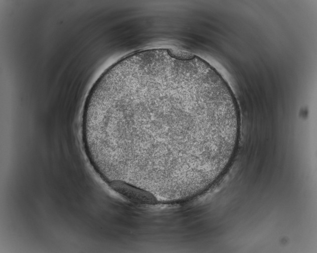 X0000100310949200807031143