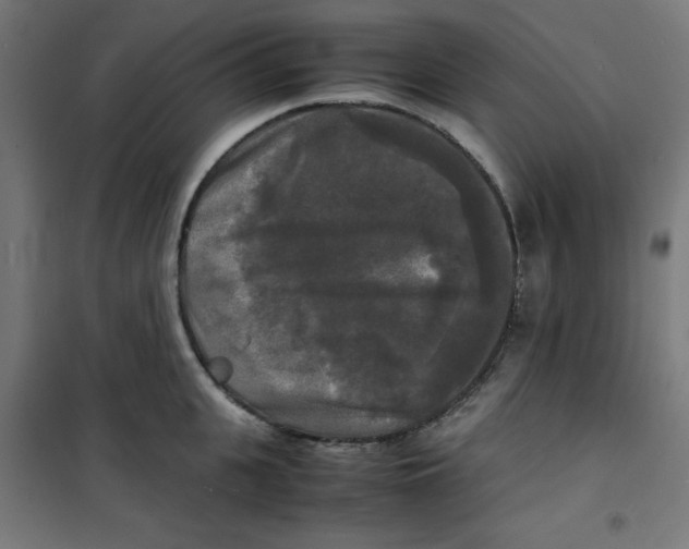 X0000100310951200807031143