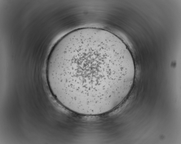 X0000100310952200807031143