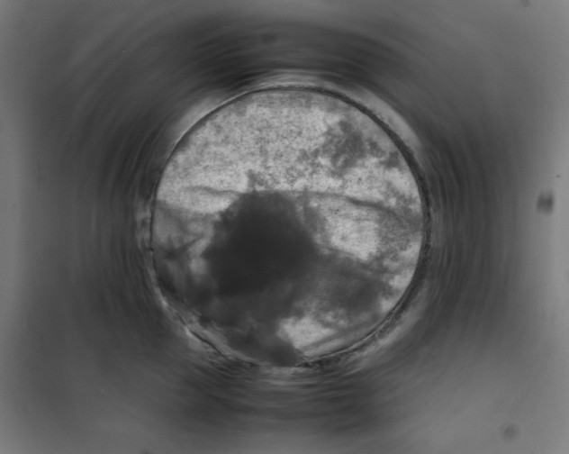 X0000100310953200807031143