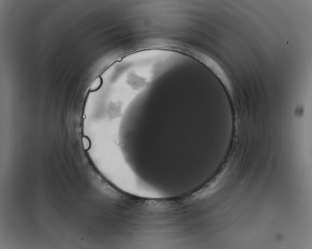 X0000100310954200807031143