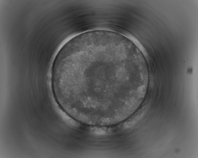 X0000100310955200807031143