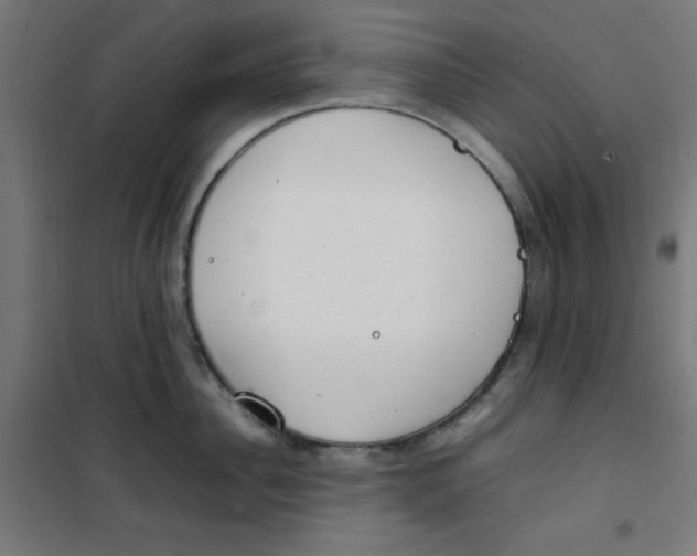 X0000100310956200807031143