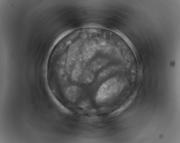 X0000100310957200807031143