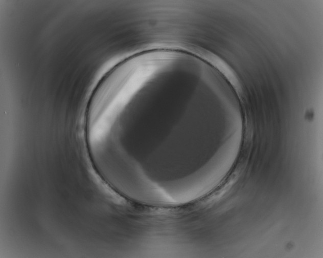 X0000100310958200807031143