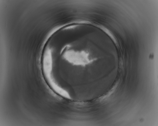 X0000100310959200807031143