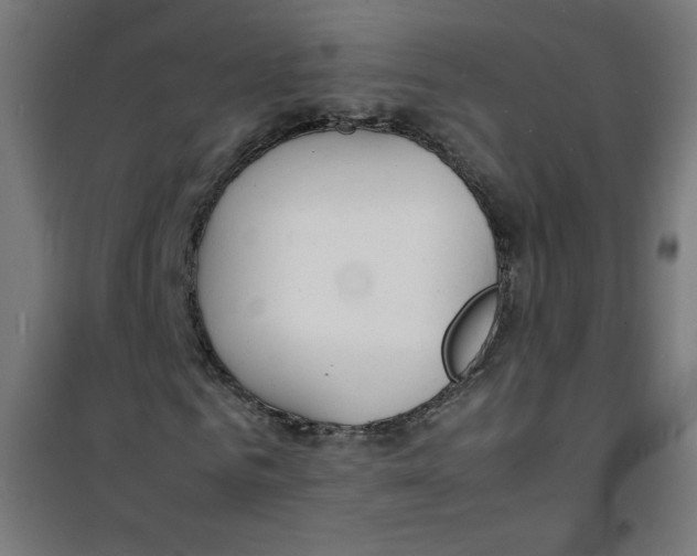 X0000100310961200807031142