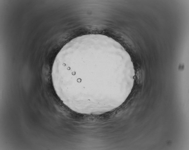 X0000100310963200807031142