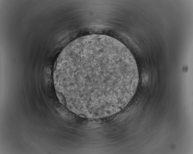 X0000100310964200807031142