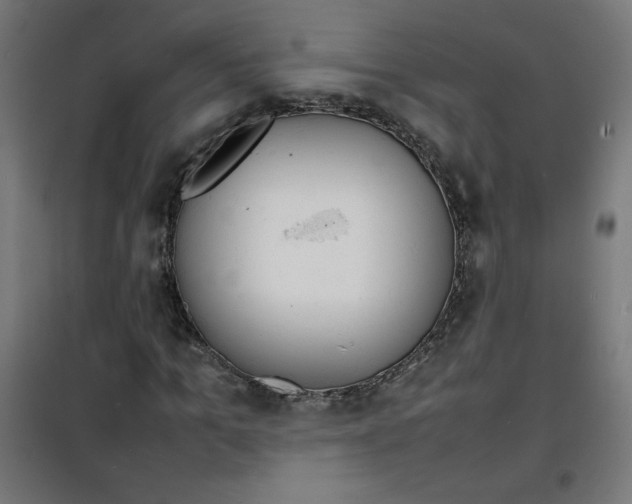 X0000100310965200807031142