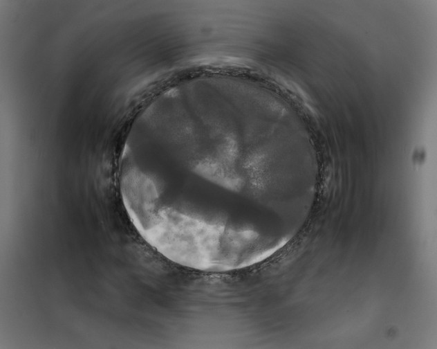 X0000100310966200807031142