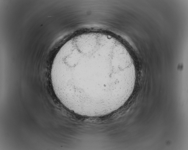 X0000100310967200807031142