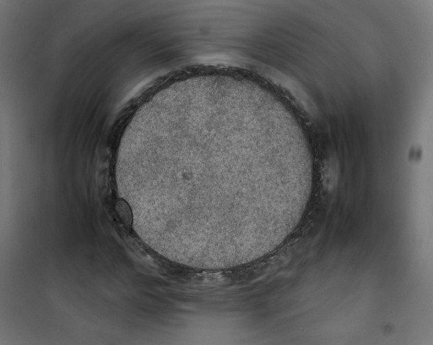 X0000100310968200807031142