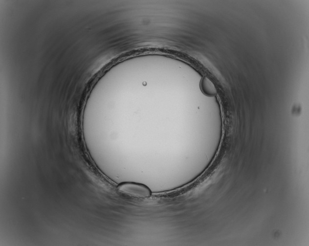 X0000100310969200807031142