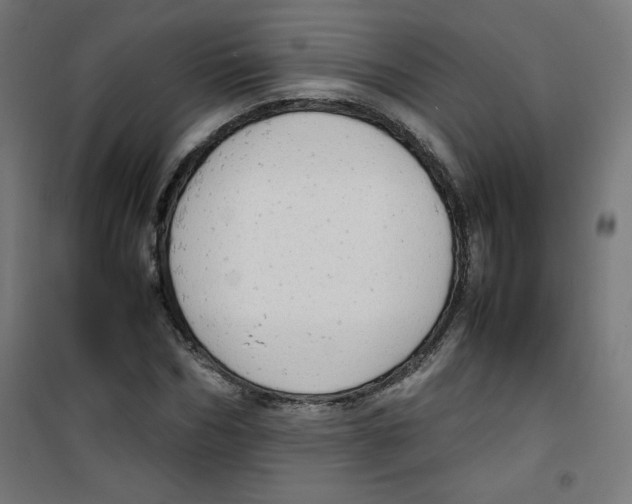X0000100310970200807031142