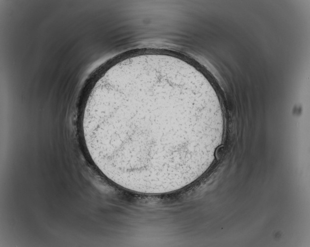 X0000100310971200807031142