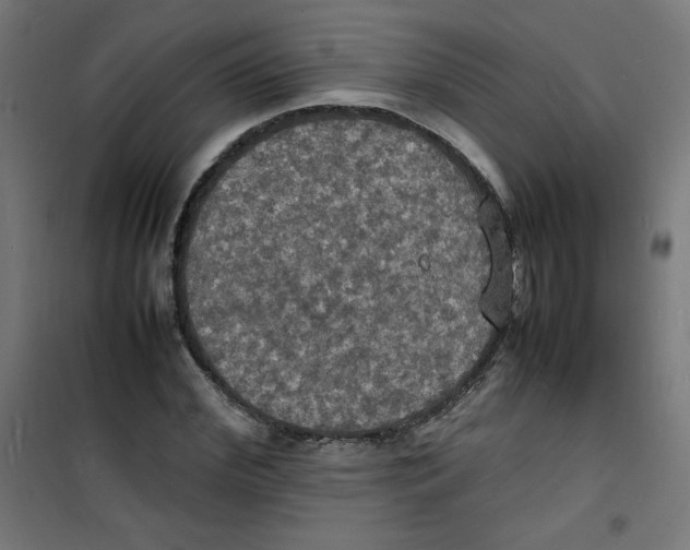 X0000100310972200807031142