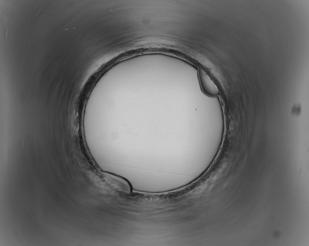 X0000100310973200807031142
