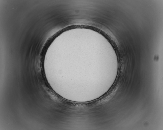 X0000100310974200807031142