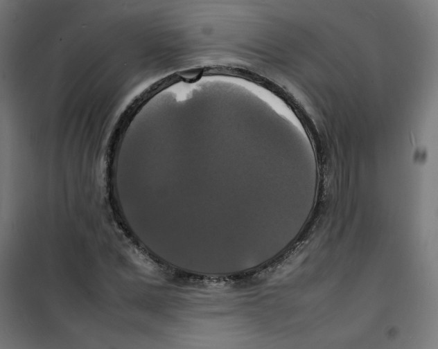 X0000100310975200807031142