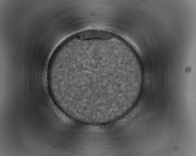 X0000100310976200807031142