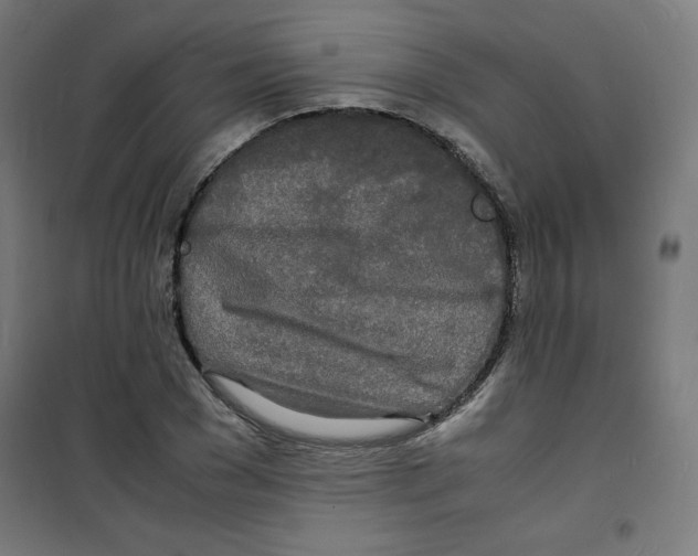 X0000100310977200807031142