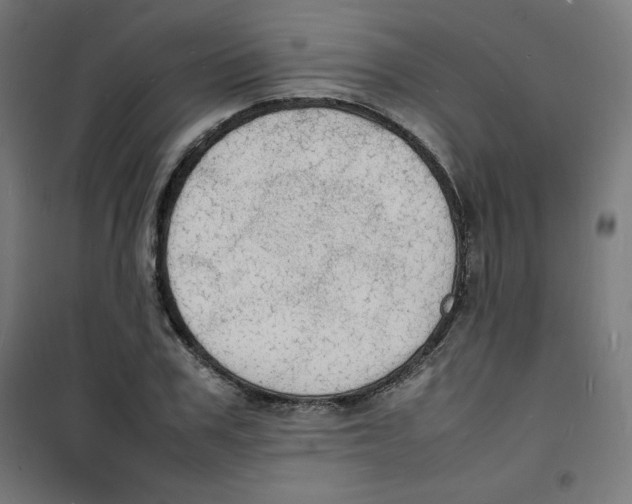 X0000100310979200807031142