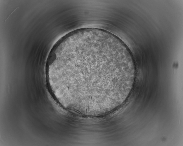 X0000100310980200807031142