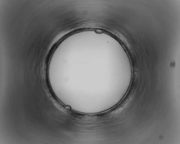 X0000100310981200807031142
