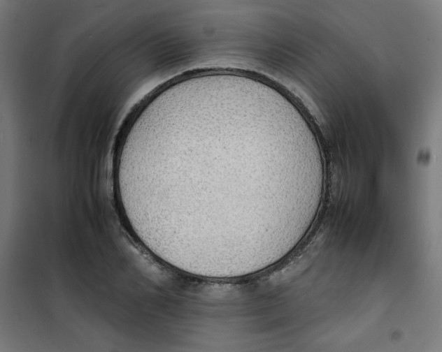 X0000100310982200807031142