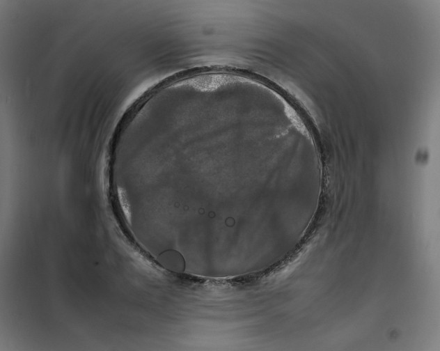 X0000100310983200807031142